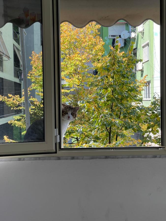Rita's Apartamento